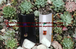 Парфюмерная вода унисекс СвеТLана Mr.Newl C&M009-00 1 ml