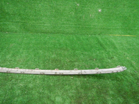 DSCN6752.JPG