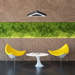 Светильник LED ЭРА Geometria SPO-151-B-40K-030 Delta 30Вт 4000К 3000Лм IP40 черный подвесной драйвер внутри | Декоративные светильники Geometria