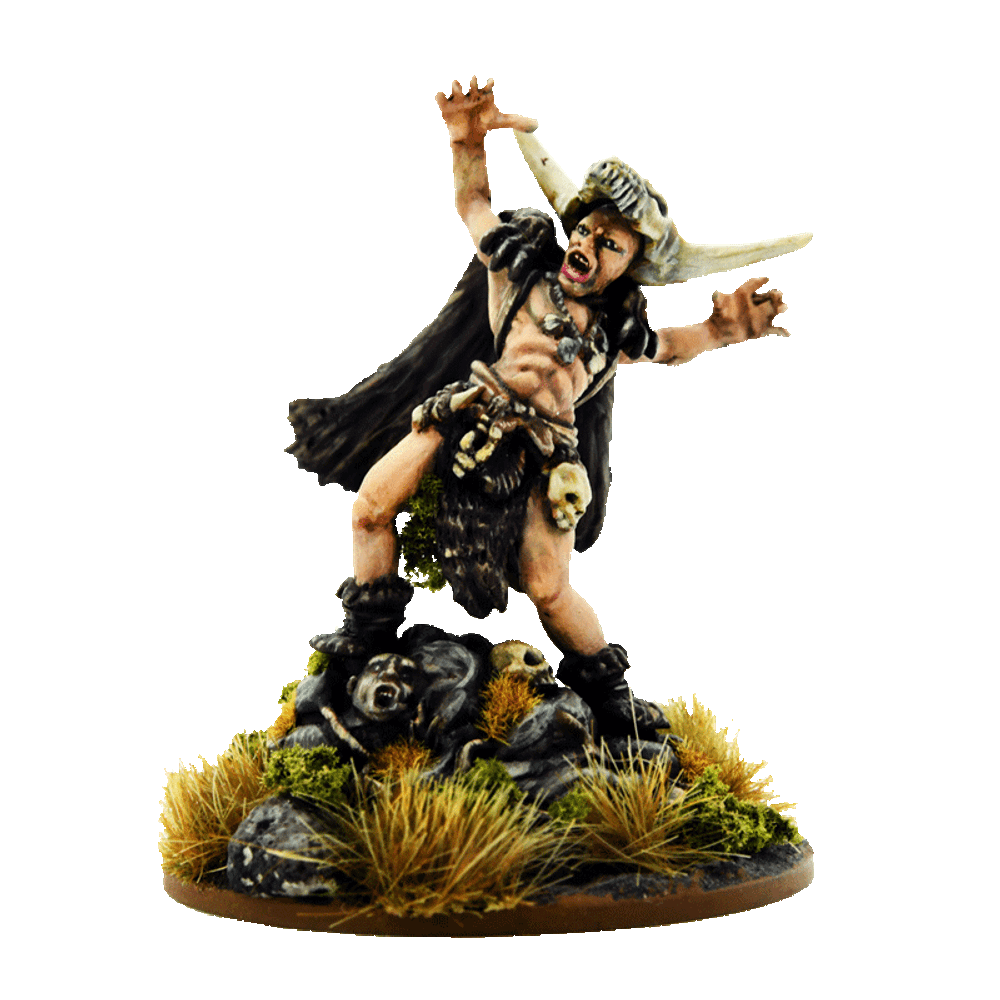 SWZ02 The Shaman Sorcerer B