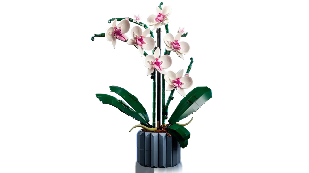 Конструктор LEGO Botanical Collection 10311 Орхидея