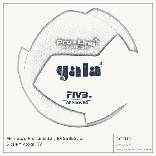 Мяч вол. Pro-Line 12 , BV5595S, р. 5,синт.кожа ПУ Micro,клеен,бут.кам,бело-гол-красный