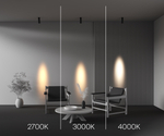 Накладной светодиодный светильник Maytoni FOCUS LED C055CL-L12W3K-SS-B