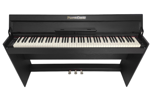 Pierre Cesar XY-2000-H