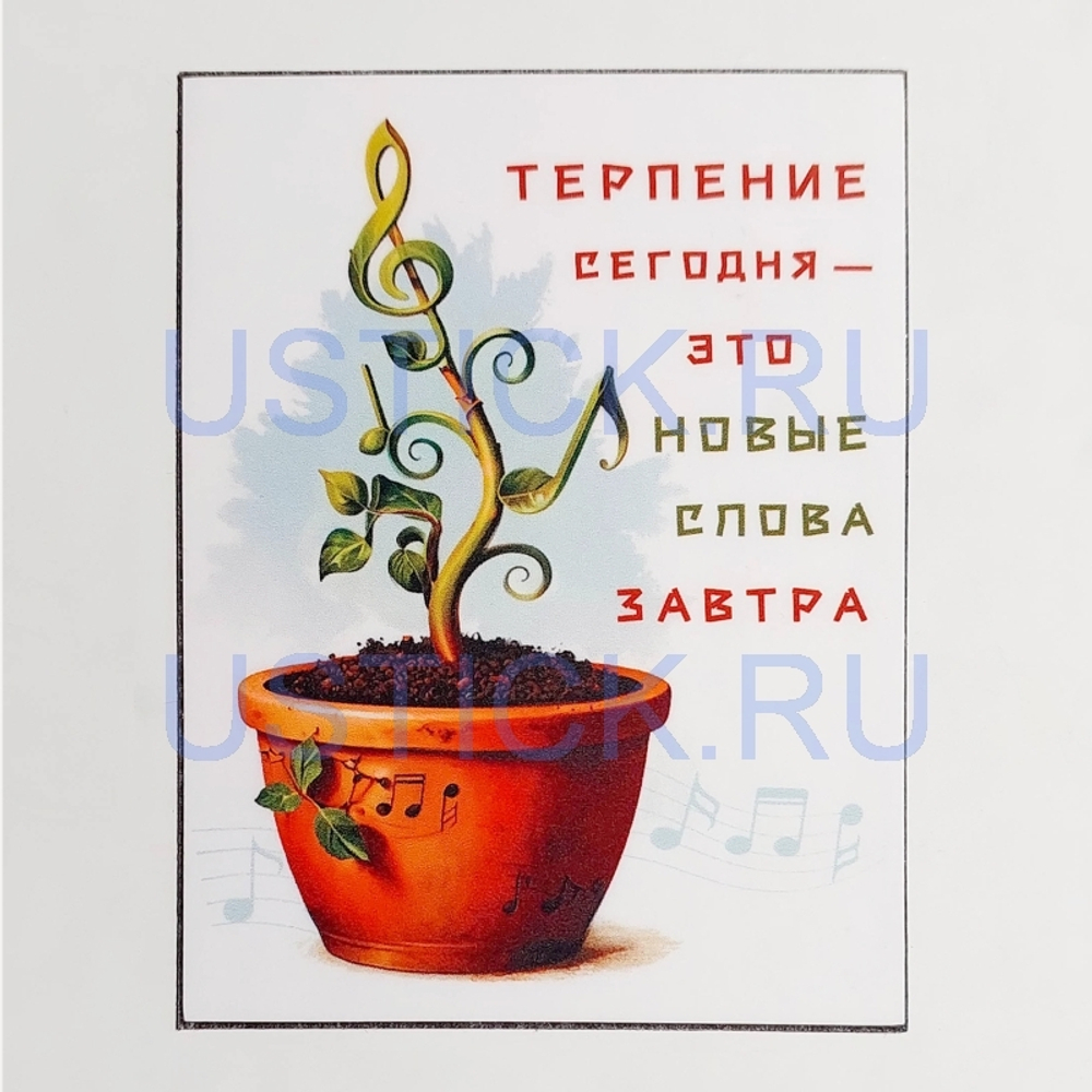 Магнит "Новые слова"