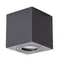 Потолочный светильник уличный Galopin A1461PL-1BK Arte Lamp