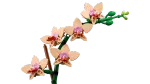 Конструктор LEGO Botanical Collection 10343 Мини орхидея