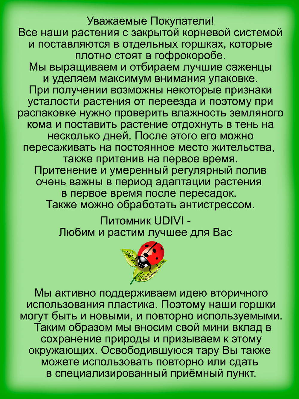 Цимбалярия постенная почвопокровная