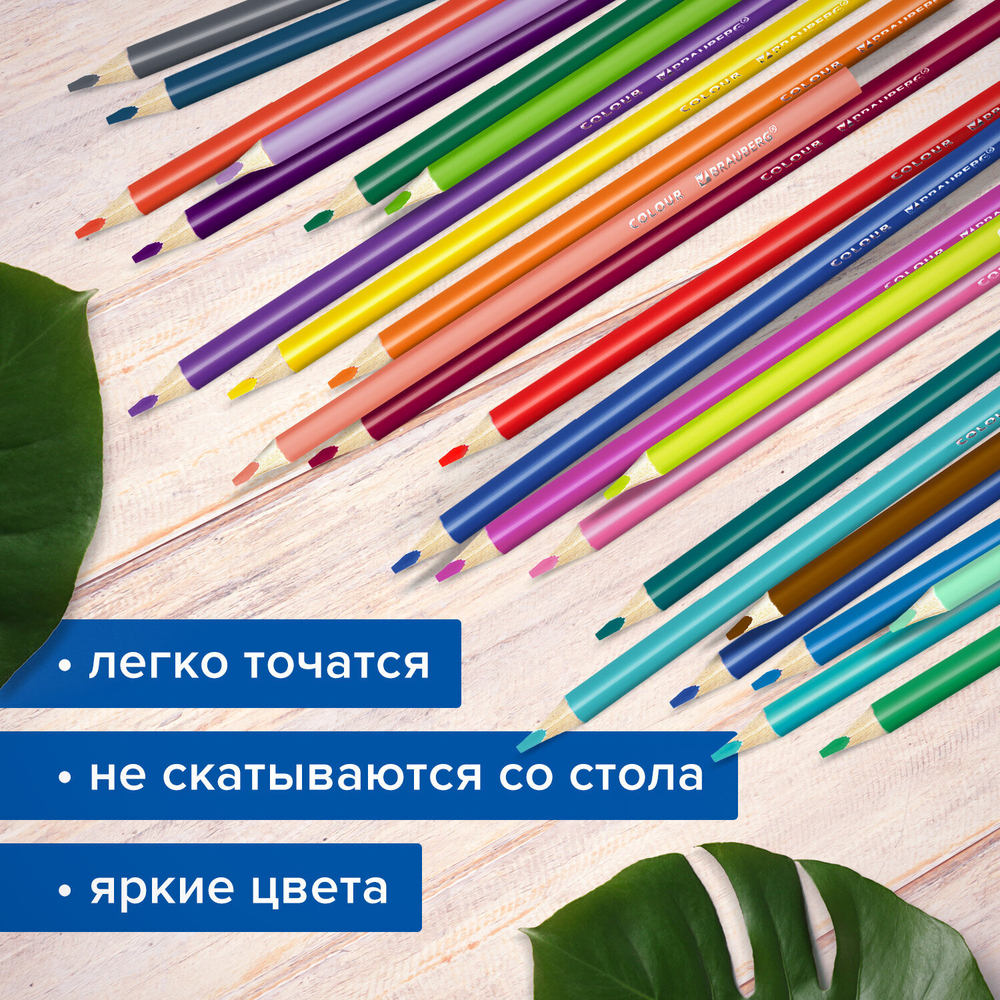 Карандаши цветные супермягкие яркие трехгранные BRAUBERG MAX, 50 цветов, грифель мягкий 3,3 мм, 181860