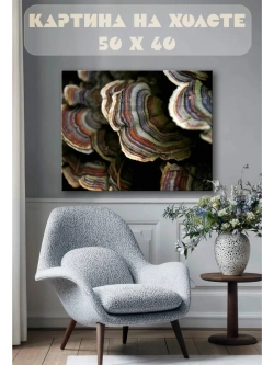 Картина на стену 40 X 50 Грибы