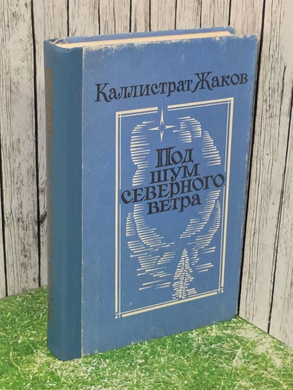 Жаков Каллистрат. Под шум северного ветра