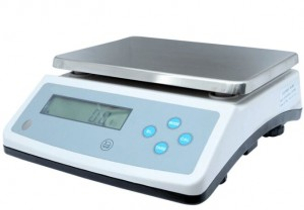 0.1g Electrical Scale