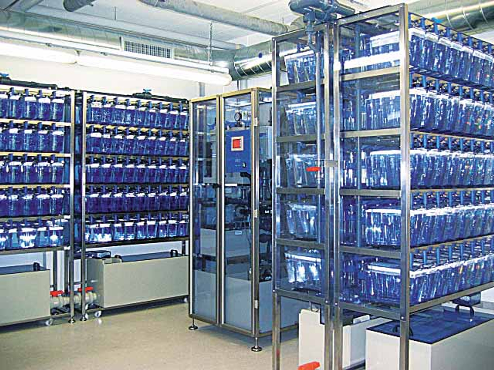 Стеллажи для содержания рыб (ZEBTec Multilinking)
