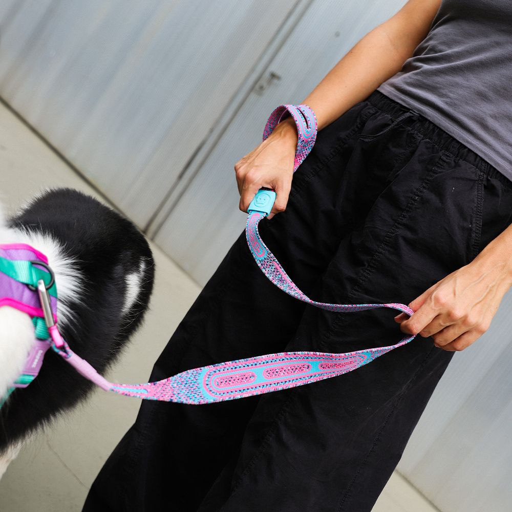Удлиненная водилка Nit CANDY 100 см Zee.Dog