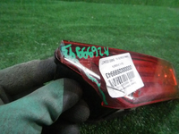 DSCN8795.JPG
