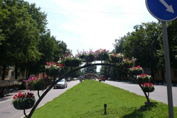 Арка Сингл-1
