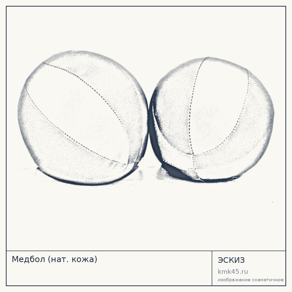 Медбол (нат. кожа) — от 1 500 ₽