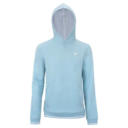 Мужская теннисная толстовка Tecnifibre Team Terry Hoodie — glacier