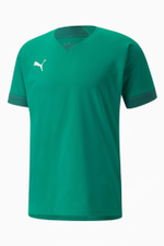 Футболка Puma teamFINAL