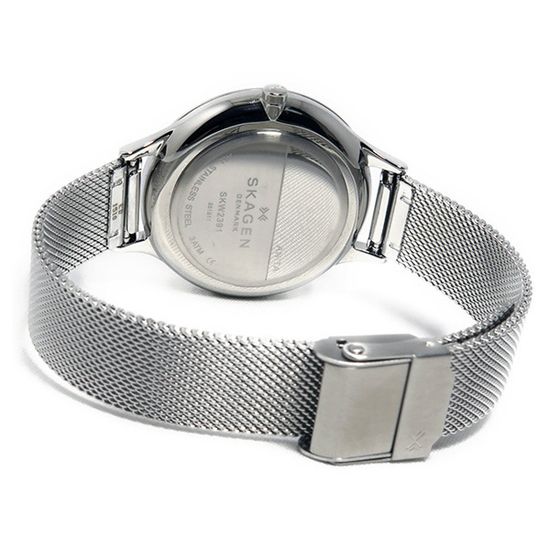 Наручные часы Skagen SKW2391