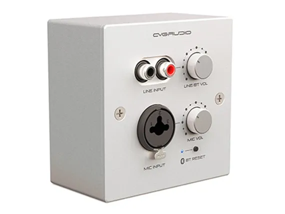 CVGAUDIO PW-IN/W