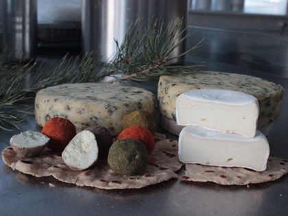 В «Романовском Парке» пройдет презентация продукции «Сырного мастера»