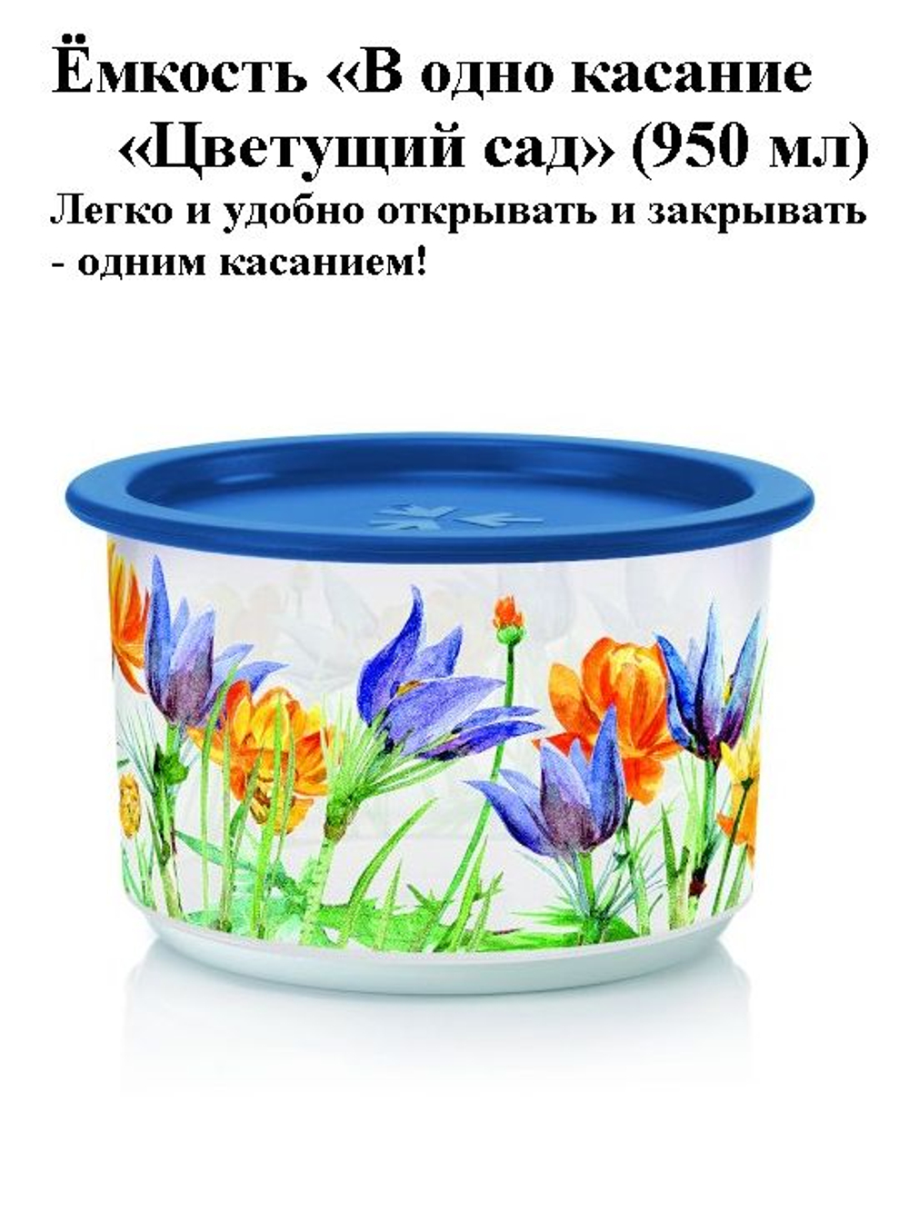 Набор контейнеров "В одно касание Летний луг" (575мл), 2шт.