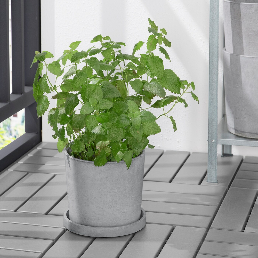 IKEA BOYSENBÄR  (ИКЕА БОЙСЕНБÄР)  -  Основание, внутреннее/наружное светло-серое, 19 см