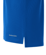Поло DIVISION PerFormDRY Polo, синий