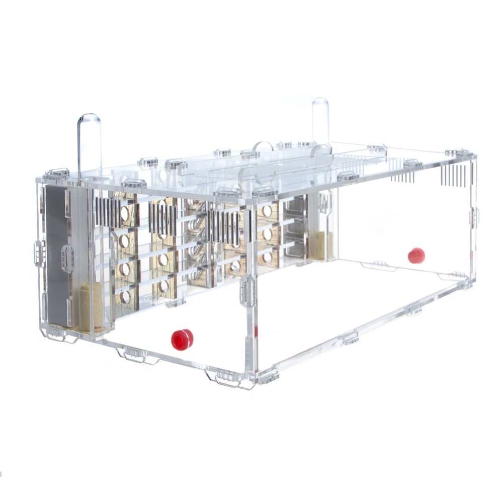 Crystal XL 3.0