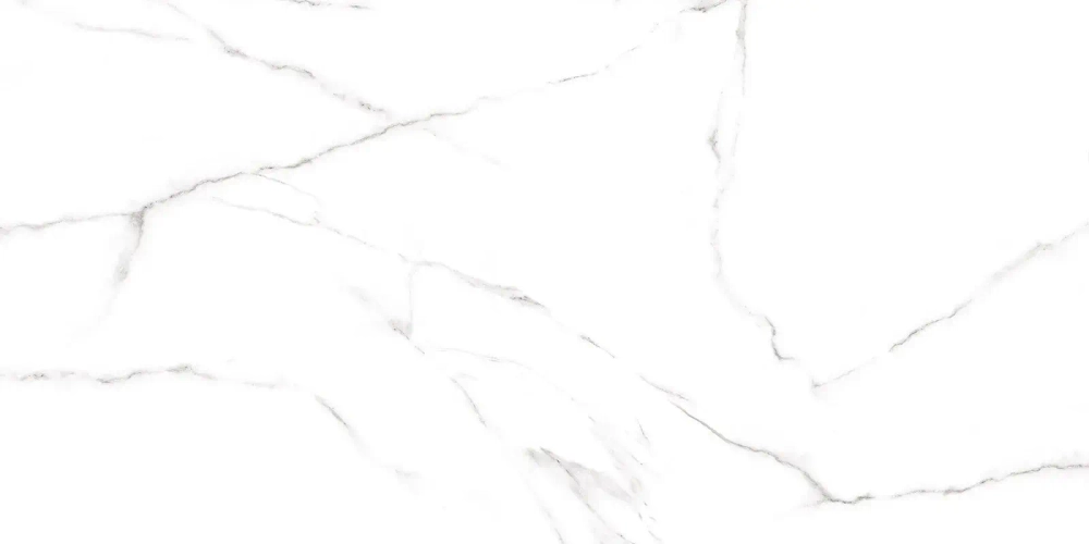 Керамогранит Alma Ceramica GFU60120CRR00R Carrara 60x120 белый глазурованный матовый под камень