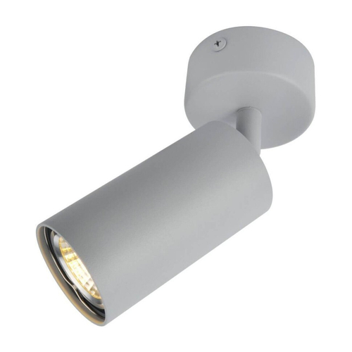 Накладной светильник Arte Lamp AQUARIUS A3216PL-1GY