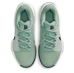Женские Кроссовки теннисные Nike Zoom GP Challenge Pro Clay - steam/black/light silver