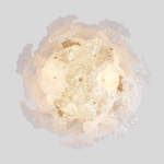 Потолочная люстра Crystal Lux MAGNOLIA PL12 GOLD