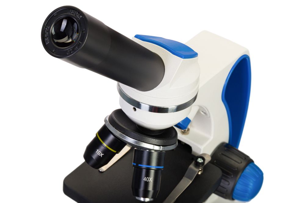 Микроскоп Levenhuk Discovery Pico с книгой