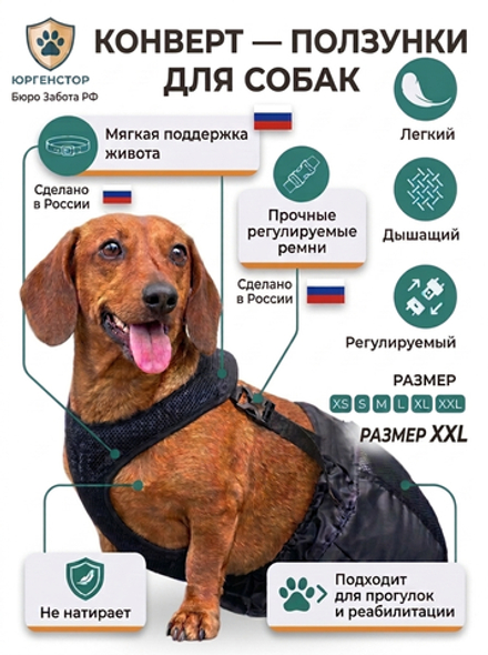 Защитные ползунки для собак инвалидов XXL