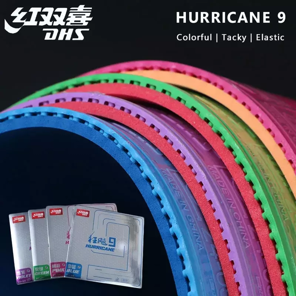 DHS HURRICANE 9