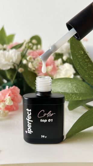 Color top 02 Iperfect 14мл.