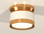Накладной светильник Ambrella Light XS XS8101060