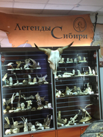 Череп быка. настенный, сувенирный, натуральный.
