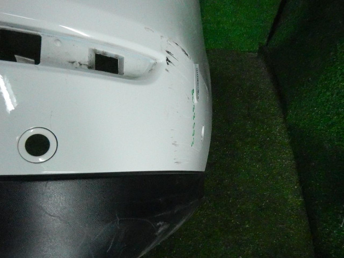DSCN2613.JPG