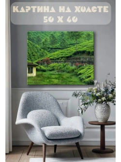 Картина на стену 40 X 50 Чайная плантация