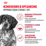 Royal Canin Medium Adult 7+ Медиум Эдалт Корм сухой для взрослых собак средних размеров от 7 лет и старше 15кг