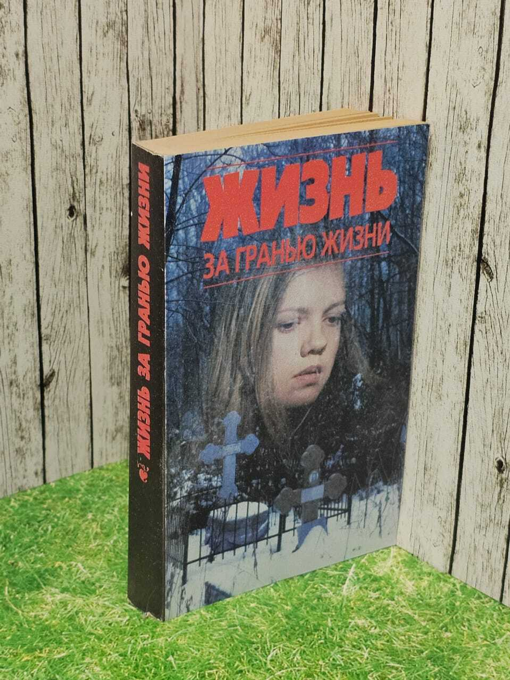 Жизнь за гранью жизни