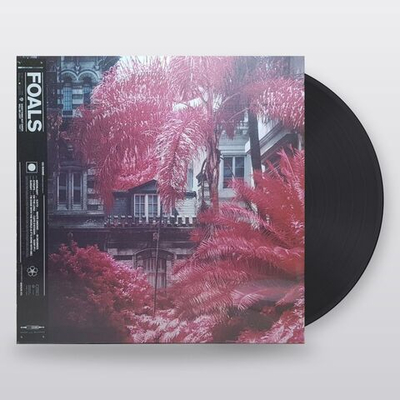 Foals — Everything Not Saved Will Be Lost: Part 1 (LP)