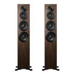 Dynaudio Focus 50 Walnut Wood