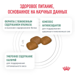 Royal Canin Diabetic Canine Диабетик канин Корм сухой диета для взрослых собак при диабете 12кг