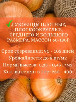 Семена Лук Штуттгартер ризен 10 грамм