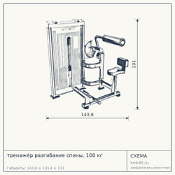 тренажёр разгибание спины, 100 кг — от 179 000 ₽